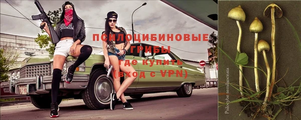 скорость Баксан