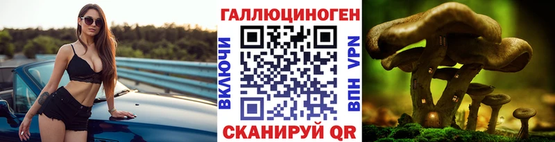 Галлюциногенные грибы GOLDEN TEACHER  Гатчина 